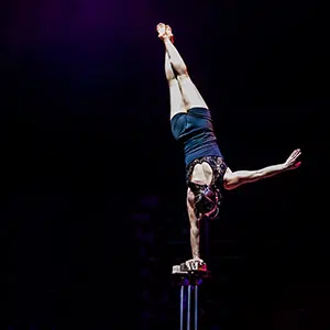 Clases de verticales El Invernadero, Escuela de Circo Scimmie Volanti Alcobendas Madrid